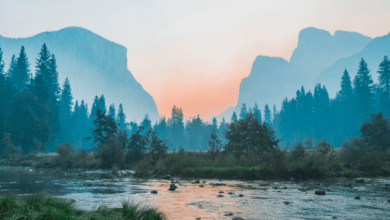 Wallpaper:7wlb1qxpgiu= Landscape