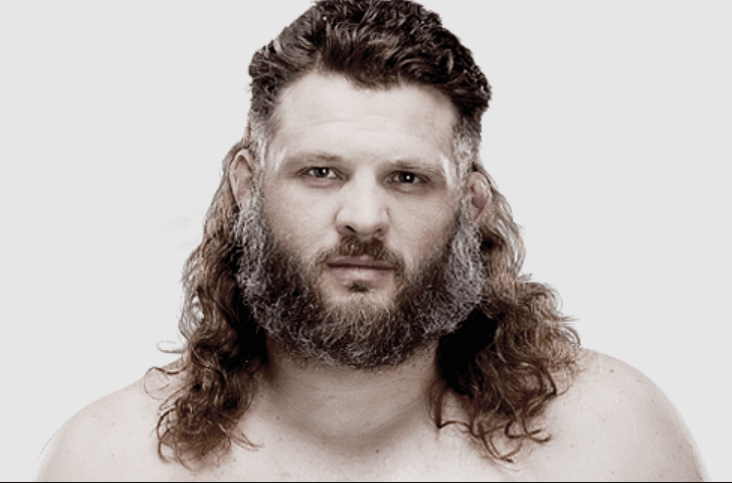 Roy Nelson Net Worth