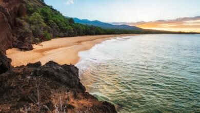 mahi manu small 19a1z21