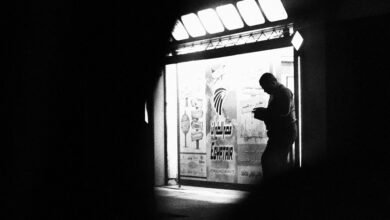 nip indian grow coffee