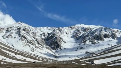 sbi cons opponent strategy