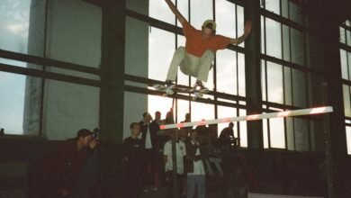 tata mid cap insights