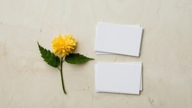 new product release details