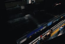 digital platform for growth