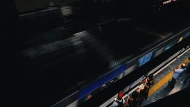 digital platform for growth